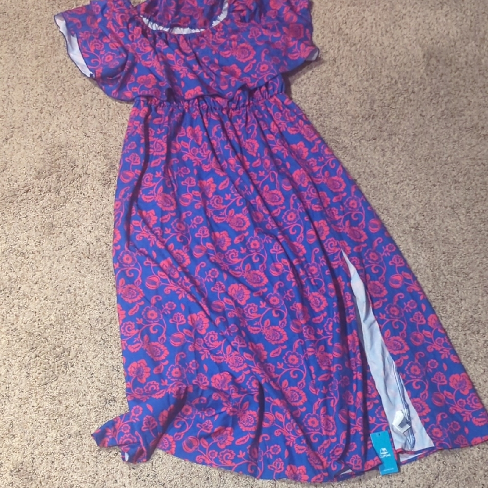 Cupshe Blue and Pink Floral Maxi Dress {Nwt}